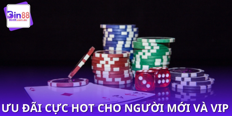 Tổng hợp quyền lợi từ khuyến mãi dành cho hội viên