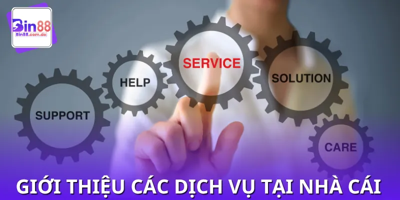 Giới thiệu về các hình thức dịch vụ của trang web