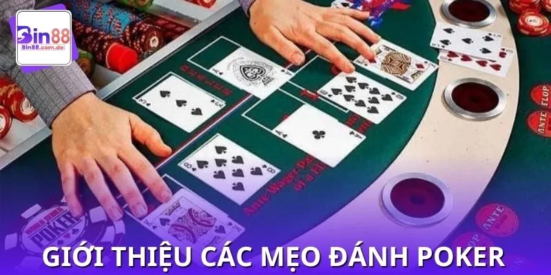 Mẹo đánh poker - Bí kíp sống sót qua những ván đầu tiên